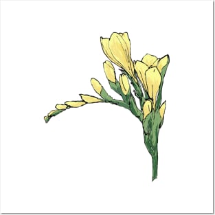 Yellow Freesia Parkinsons Therapy Art Posters and Art